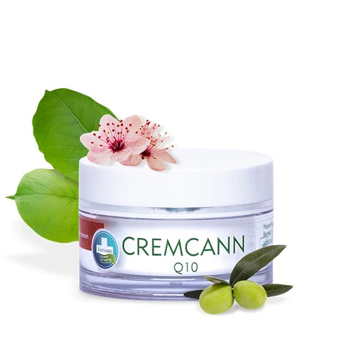 Cremcann Q10 Gesichtscreme, 50ml Dose, angereichert mit Coenzym Q10, Hanfsamenöl, Mandelöl und Shea-Butter, ideal zur Hautpflege und Reduzierung erster Falten, zertifizierte Naturkosmetik.