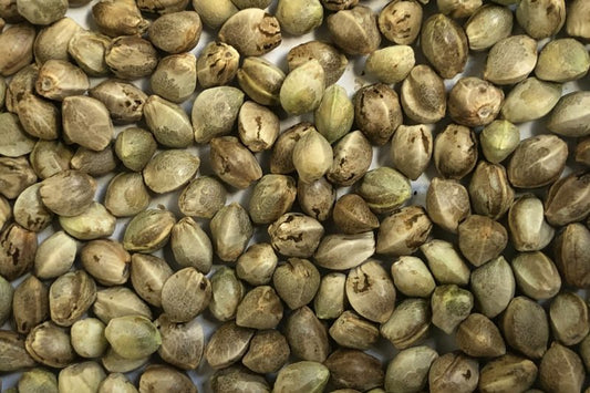 CRB_Cup Runtz Bomb 3 Stk