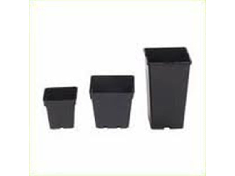 NPB square pot (12x12x13) 1,5 l