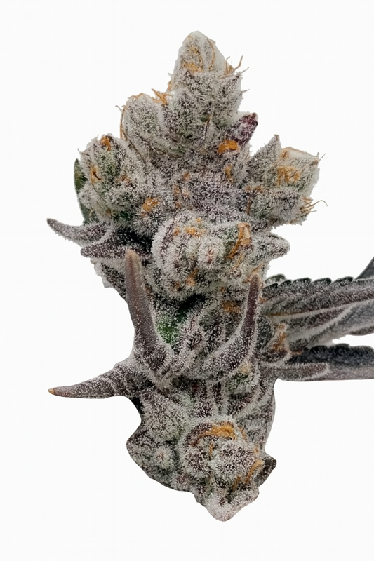 Permanent Chimera #35 - Woodpecker's Farm