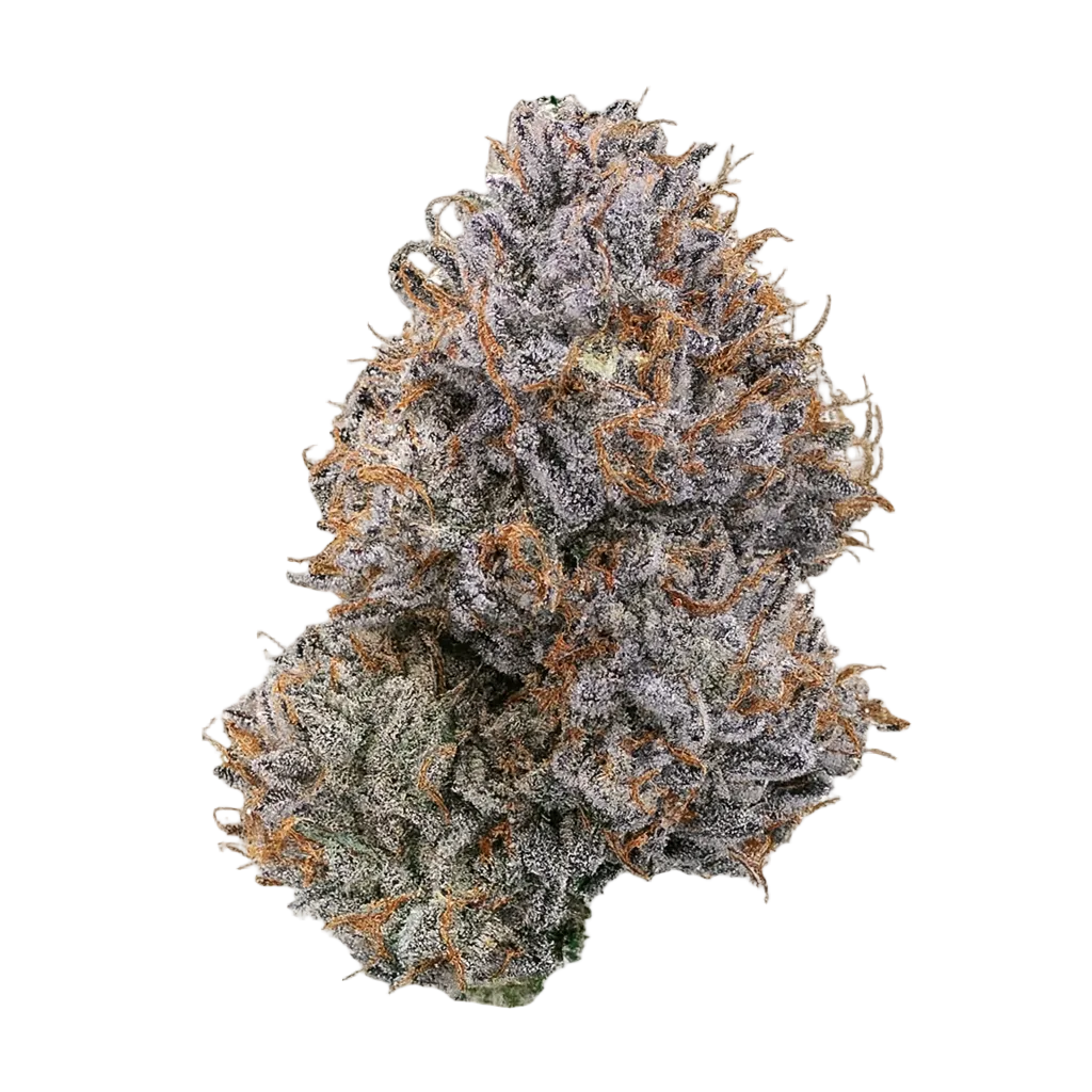 Zoap - Woodpecker's Farm