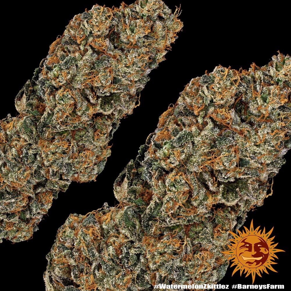 Watermelon Zkittlez
