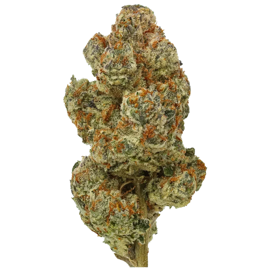 Gastronaut # 105