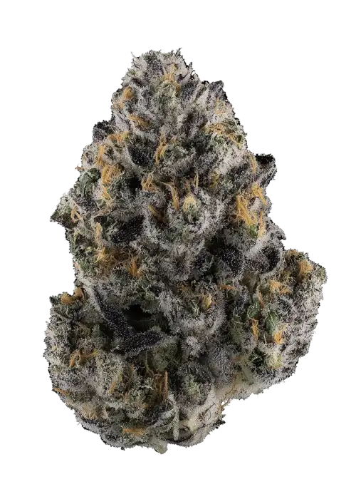 Giraffe Puzzy - Doja Cut
