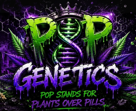 Pop Genetics