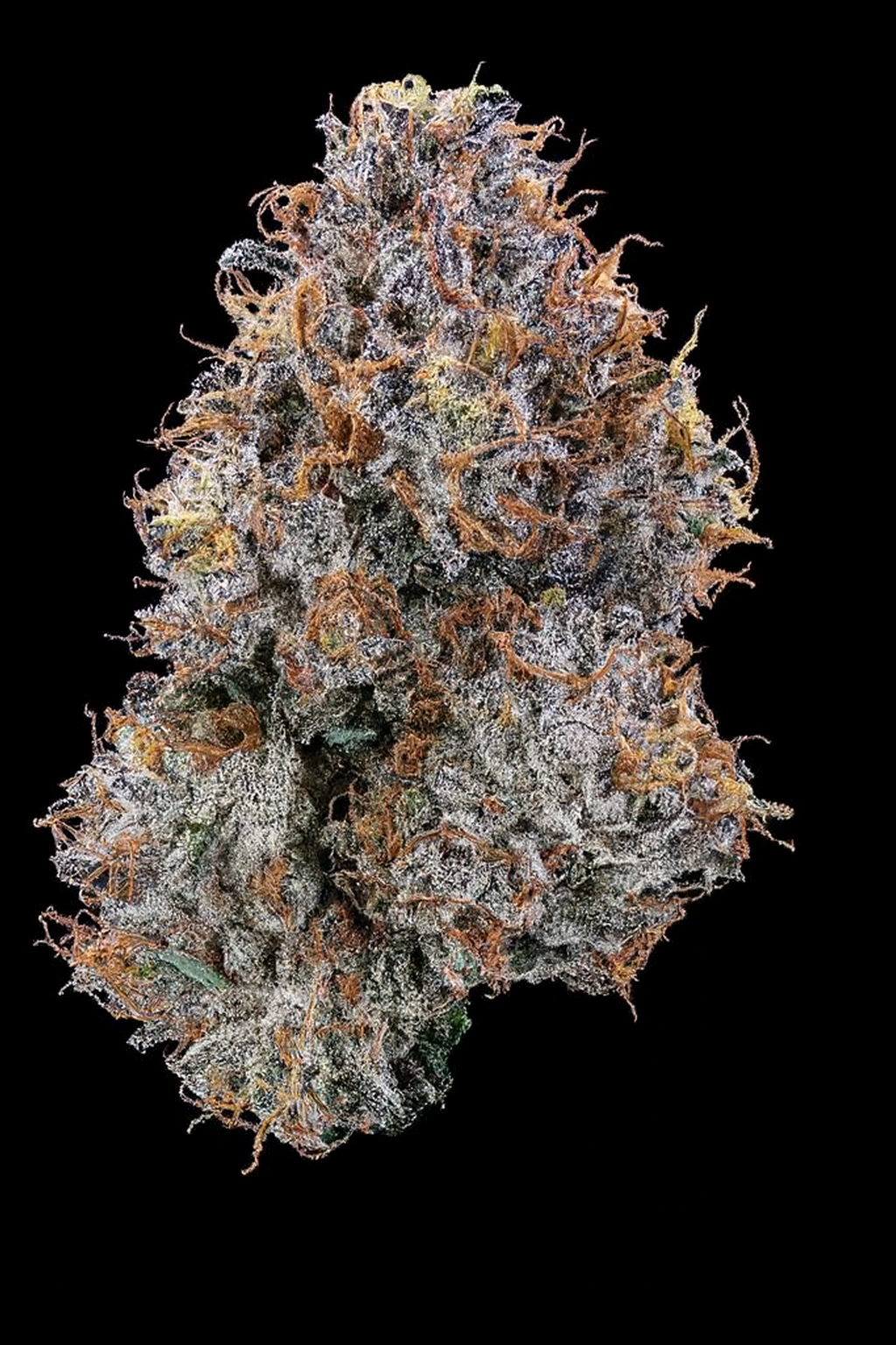 Candy Fumez - Woodpecker's Farm