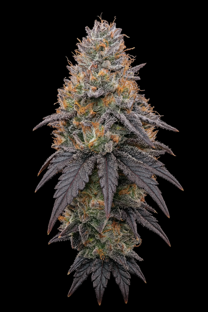 Candy Fumez - Woodpecker's Farm