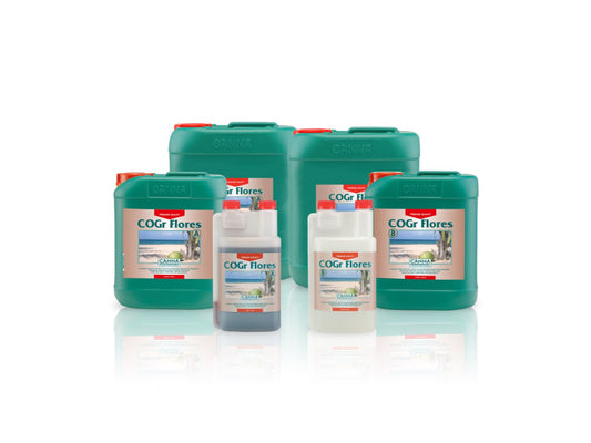 Canna COGr Flores A+B - Woodpecker's Farm