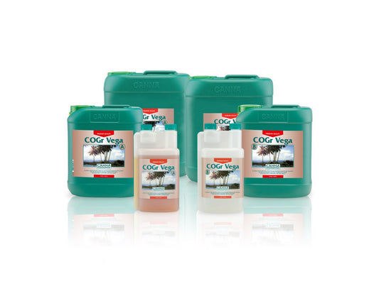 Canna COGr Vega A+B - Woodpecker's Farm