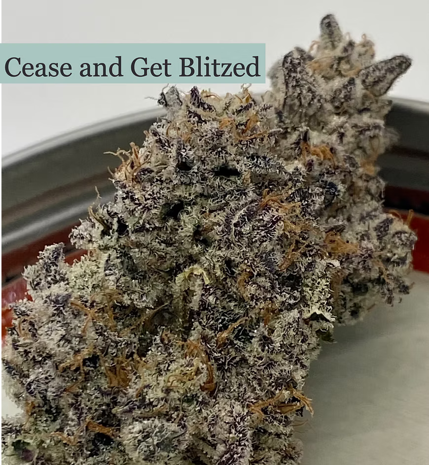 Cease & Get Blitzed (Honey Sticks Genetics Cut)