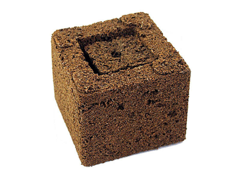 Eazy Plug Eazy Block 7,5x7,5 cm - Woodpecker's Farm