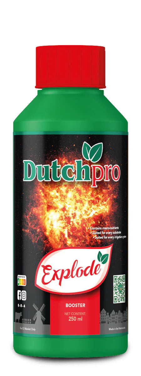 Dutch Pro Explode