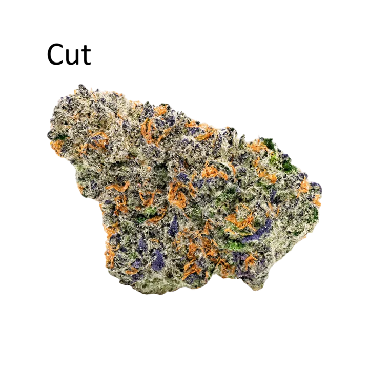 Gelato #41