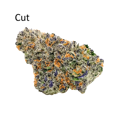 Gelato #41