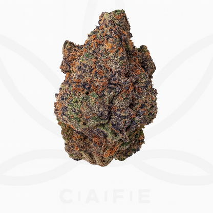Lemon Cherry Gelato Cut - Woodpecker's Farm