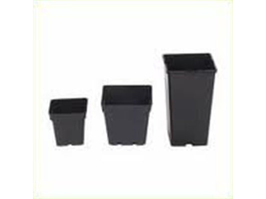 NPB square pot (12x12x13) 1,5 l