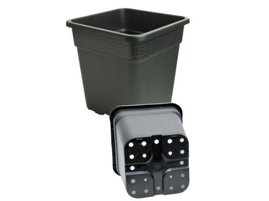 NPB square pot greek