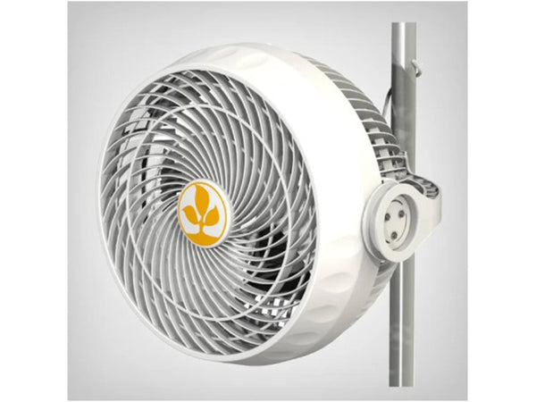 Secret Jardin Monkey Fan 23 cm 30 W